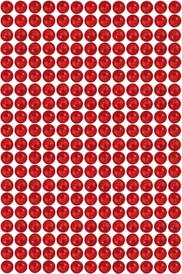   / /